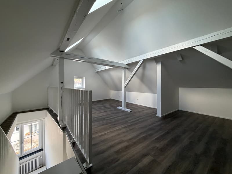 Charmante 3.5-Zimmer-Dachwohnung an der Witikonerstrasse in Zürich (9)