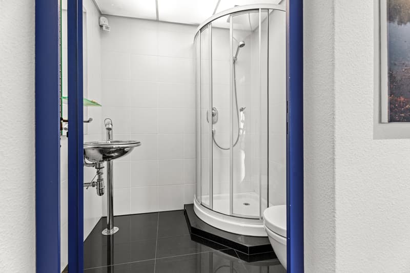 Alles ausser gewöhnlich! 5.5 Zi-Maisonette Traum-Wohnung (12)