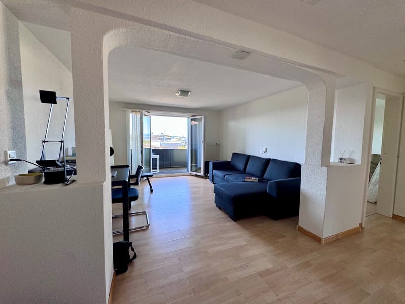 Frisch renovierte 3 Zimmerwohnung mit Parkplatz (1)