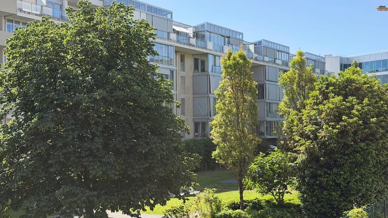 Spacieux 5 pièces avec deux loggia proche du lac et Nations (1)