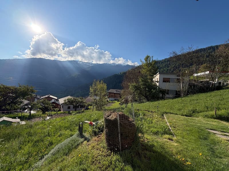 Très jolie parcelle de 968 m2 en zone résidentielle à Sornard en zone H30 à Nendaz avec accès direct (4)