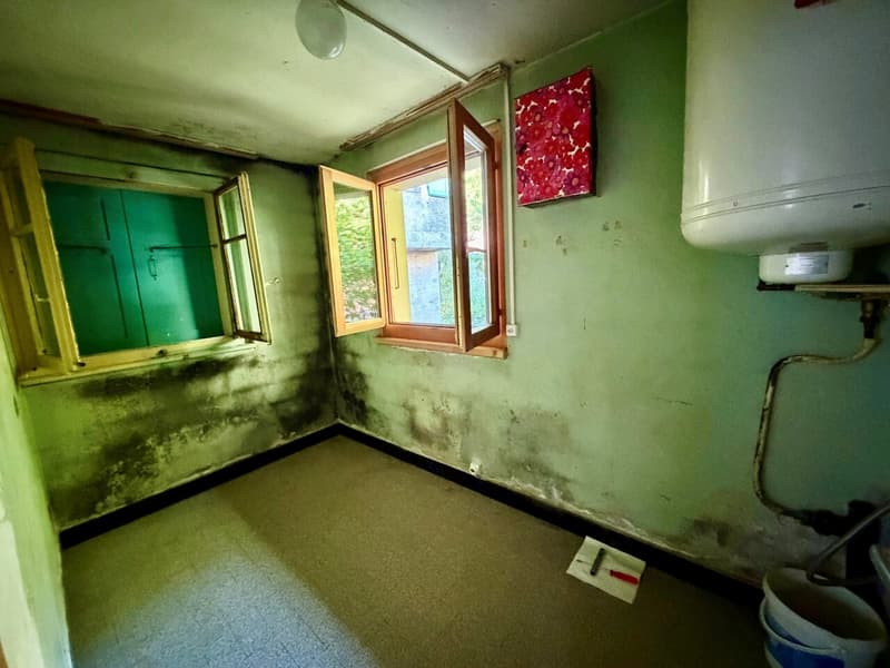 Maison villageoise de deux appartements à rénover à Beuson (7)