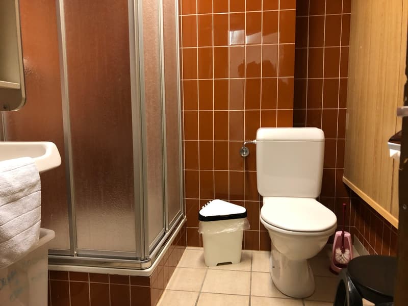 Appartement à louer à la semaine  8 pers départ pistes de ski Siviez (9)