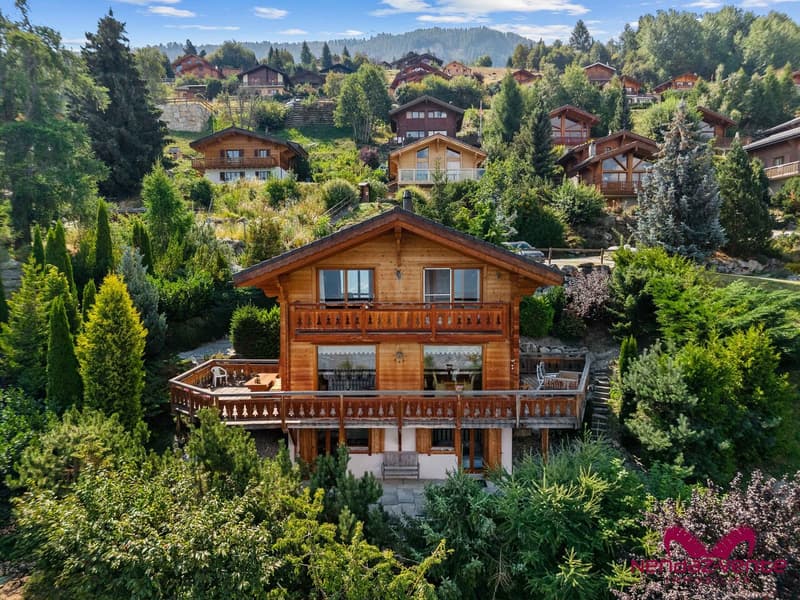 vue du chalet