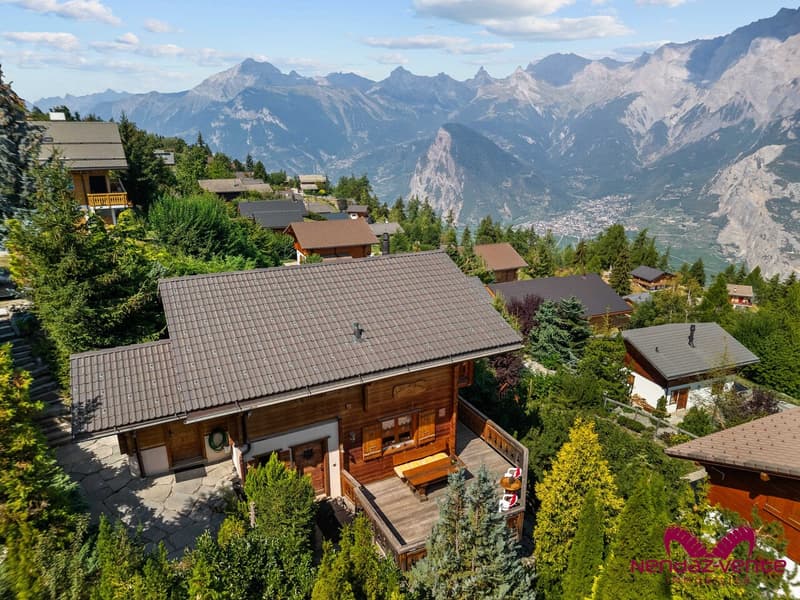 Magnifique chalet 5,5 pièces vue imprenable vente aux étrangers (8)