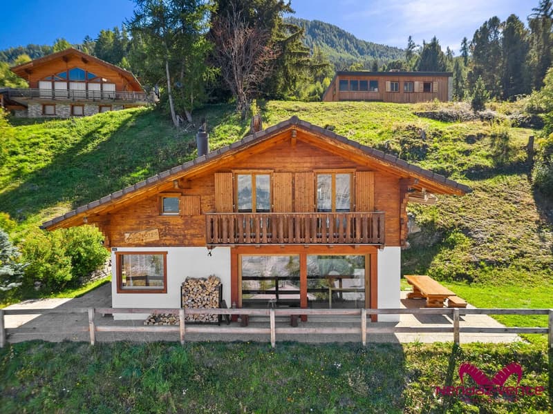 Magnifique chalet 4,5 pièces vue imprenable - vente aux étrangers (1)