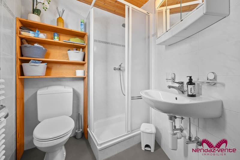 Magnifique chalet 4,5 pièces vue imprenable - vente aux étrangers (11)