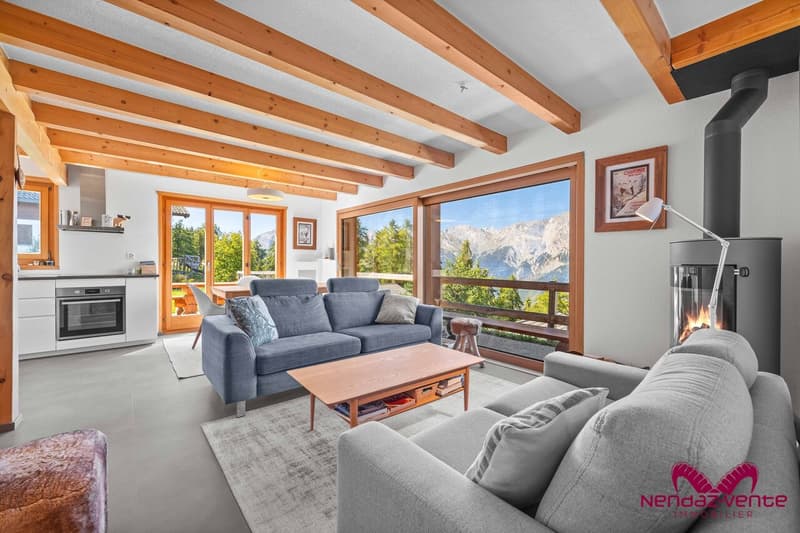 Magnifique chalet 4,5 pièces vue imprenable - vente aux étrangers (2)
