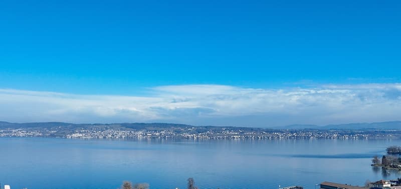 Wollerau: Bauland an Hanglage mit Aussicht und Entwicklungspotenzial (1)