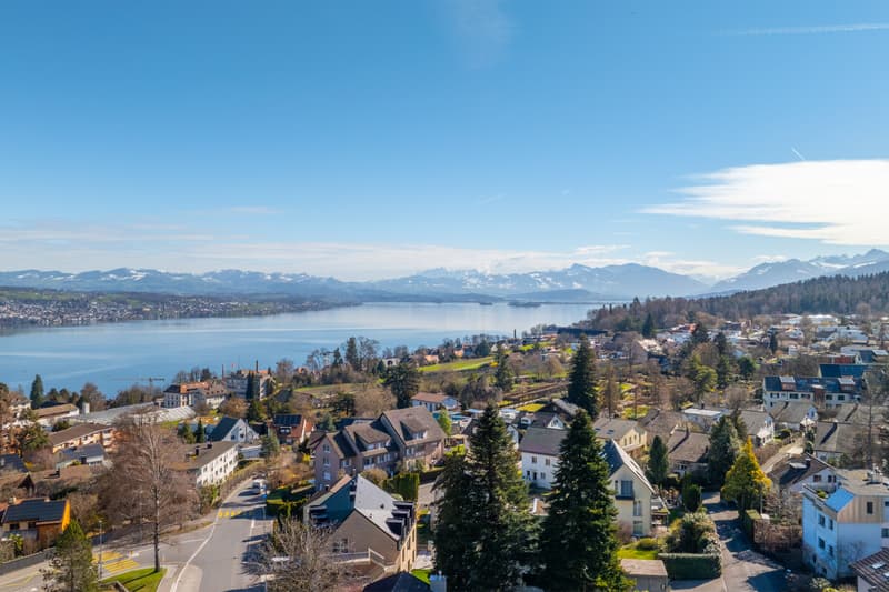 Web_Forstberg Strasse 1, 8820 Wädenswil_76_klein