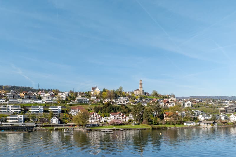 Web_Seestrasse 79C, 8800 Thalwil_99_klein