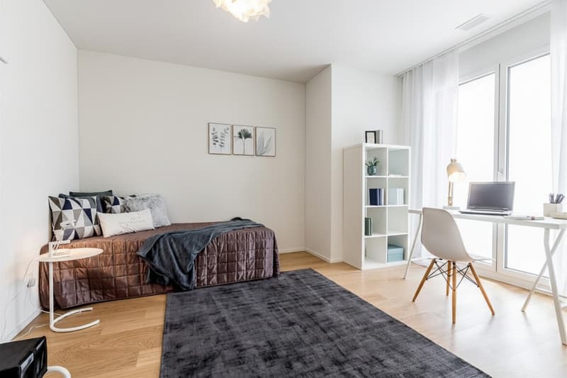 Waechter-Areal_HOMESTAGING_(2R)