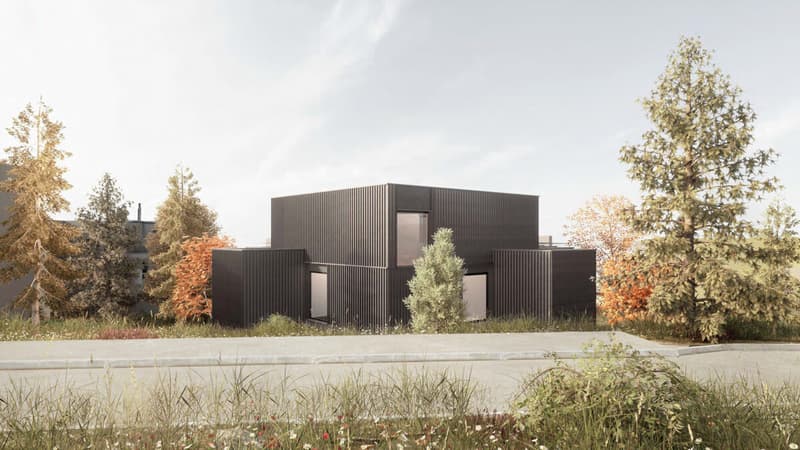 Visualisierung von der Binderstrasse her