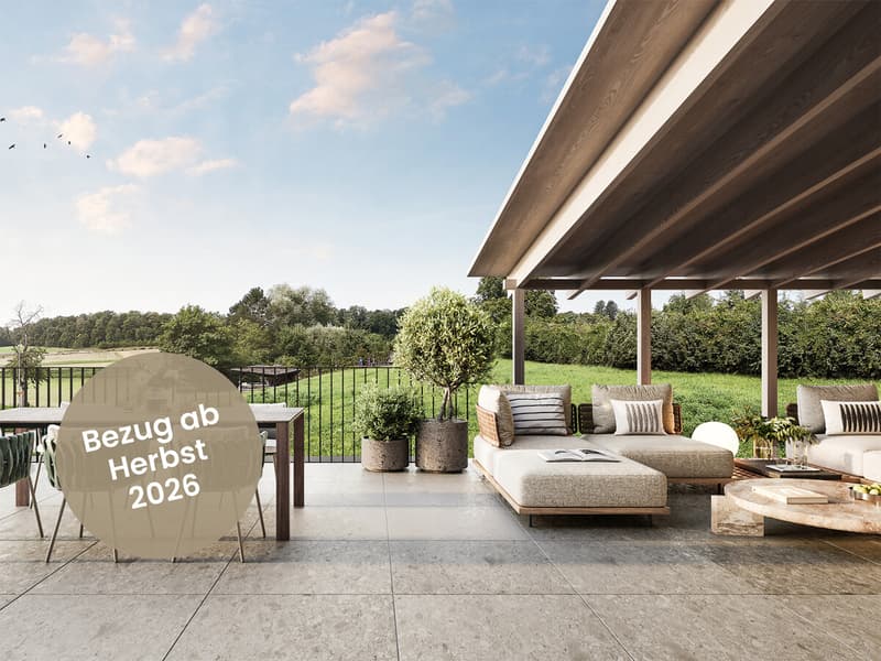 Visualisierung Terrasse