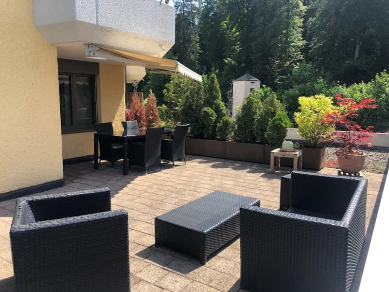 Grosszügige 2.5-Zimmer-Wohnung an zentraler Lage mit 40 m2 Terrasse (1)