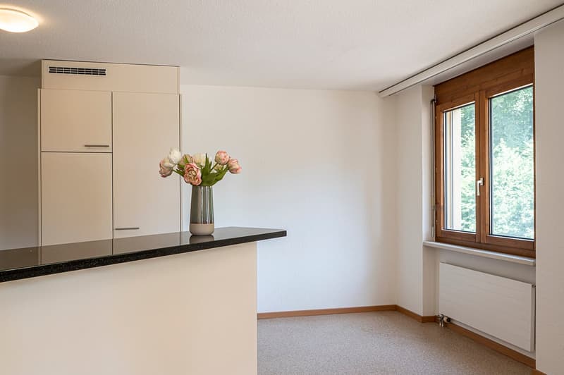 Grosszügige 2.5-Zimmer-Wohnung an zentraler Lage mit 40 m2 Terrasse (3)