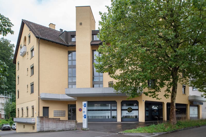 Grosszügige 2.5-Zimmer-Wohnung an zentraler Lage mit 40 m2 Terrasse (13)