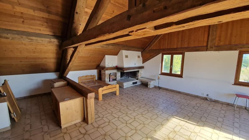 Objet de rendement de 22 pièces à Glovelier - Occasion unique (9)