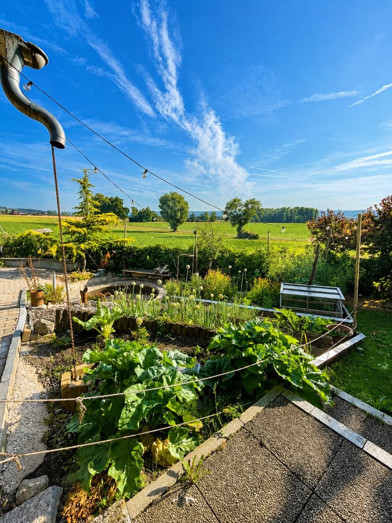 5.5-Zimmer-Einfamilienhaus mit Garten in Aristau kaufen (4)