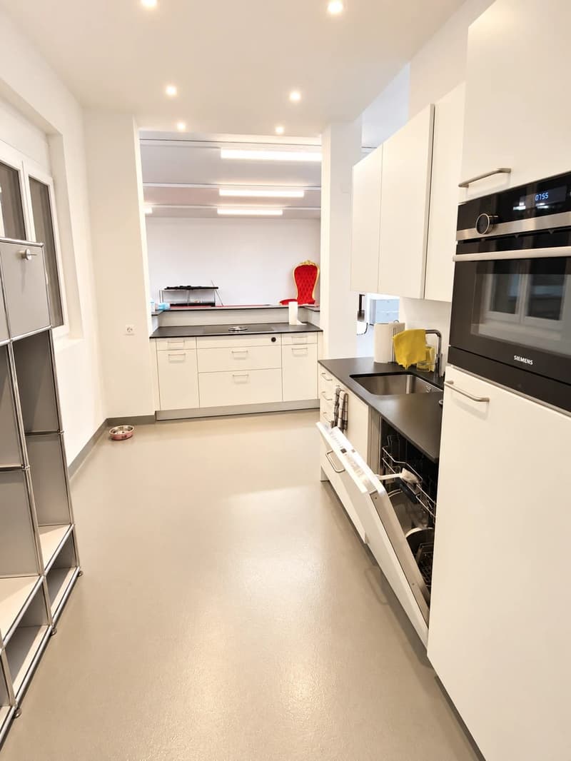 Gewerberaum 290 m² an der Hauptstrasse in Aesch LU kaufen (4)