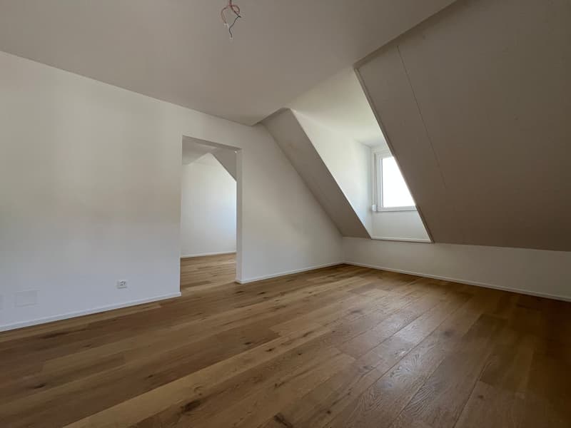 Extravagante Dachwohnung mit Galerie (14)