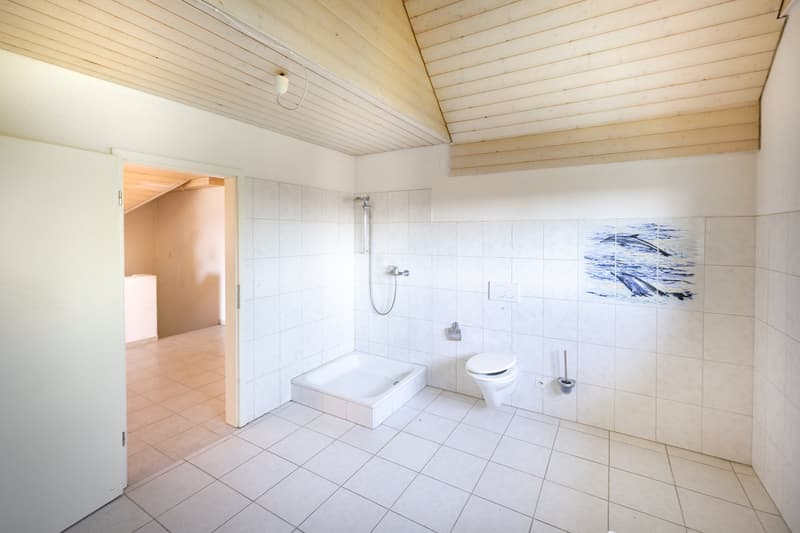 Ausbauobjekt: Freistehendes  5,5-Zimmer-Einfamilienhaus (7)