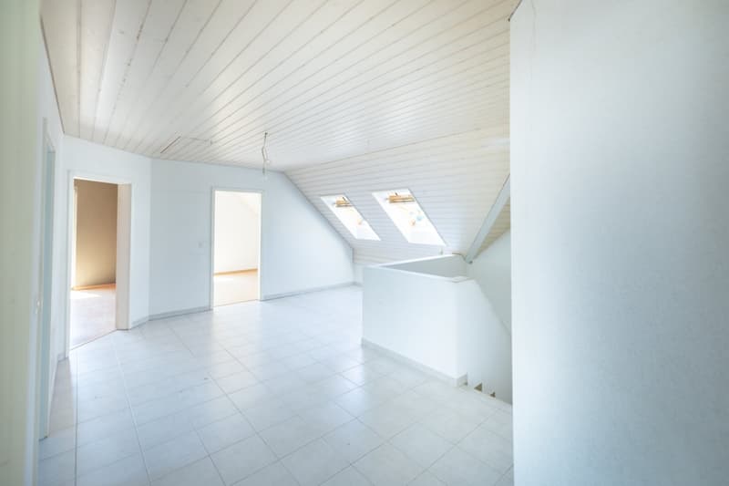 Ausbauobjekt: Freistehendes  5,5-Zimmer-Einfamilienhaus (12)