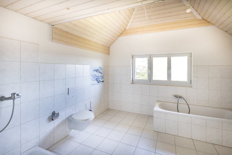 Ausbauobjekt: Freistehendes  5,5-Zimmer-Einfamilienhaus (6)