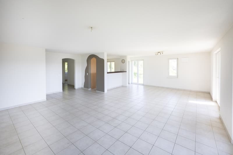 Ausbauobjekt: Freistehendes  5,5-Zimmer-Einfamilienhaus (9)