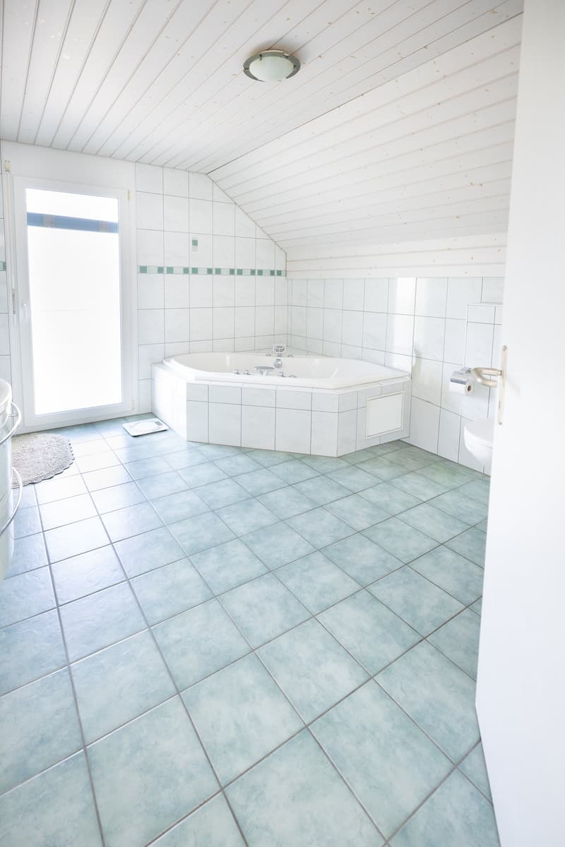 Ihr Familienzuhause in Hunzenschwil, ruhig und naturnah (8)