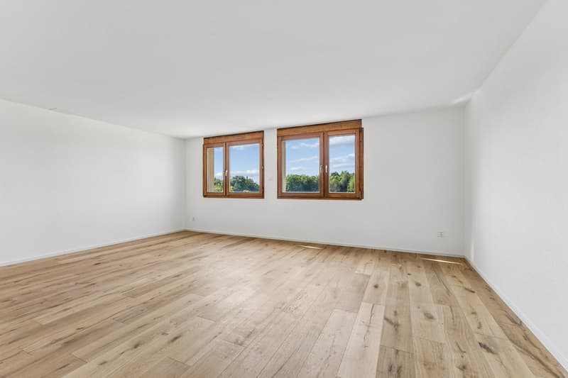 Einzigartige Möglichkeit - neu renoviert! (9)