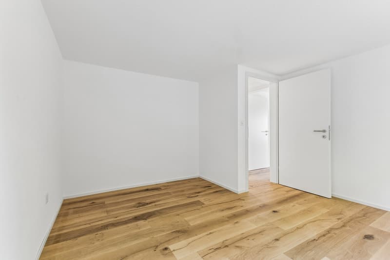 Einzigartige Möglichkeit - neu renoviert! (4)