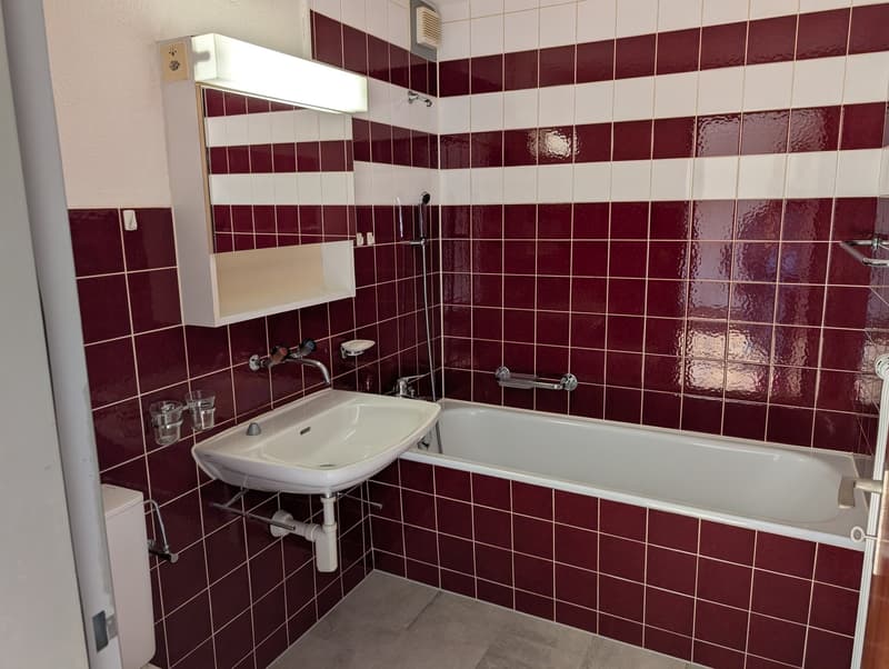 Gemütliche 2.5-Zimmer-Wohnung besonders geeignet für Büro- oder Praxisräume (7)