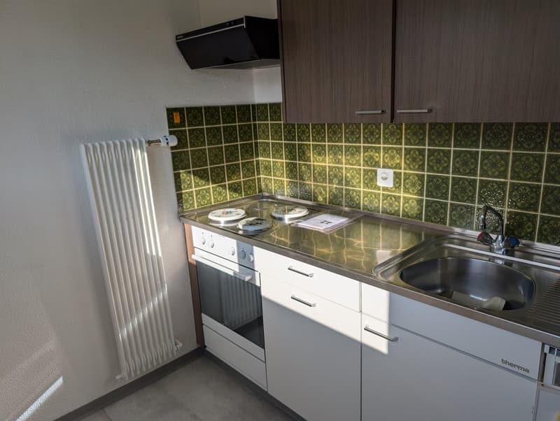 Gemütliche 2.5-Zimmer-Wohnung besonders geeignet für Büro- oder Praxisräume (5)