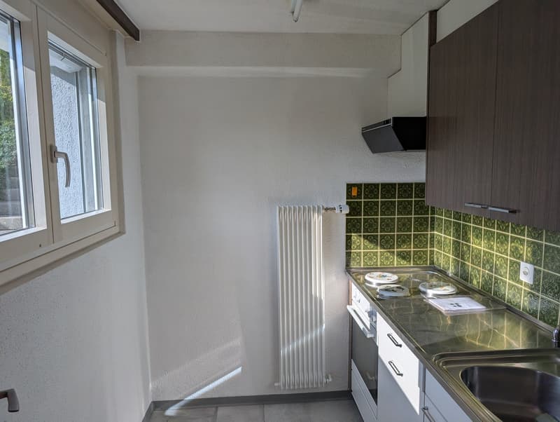 Gemütliche 2.5-Zimmer-Wohnung besonders geeignet für Büro- oder Praxisräume (6)