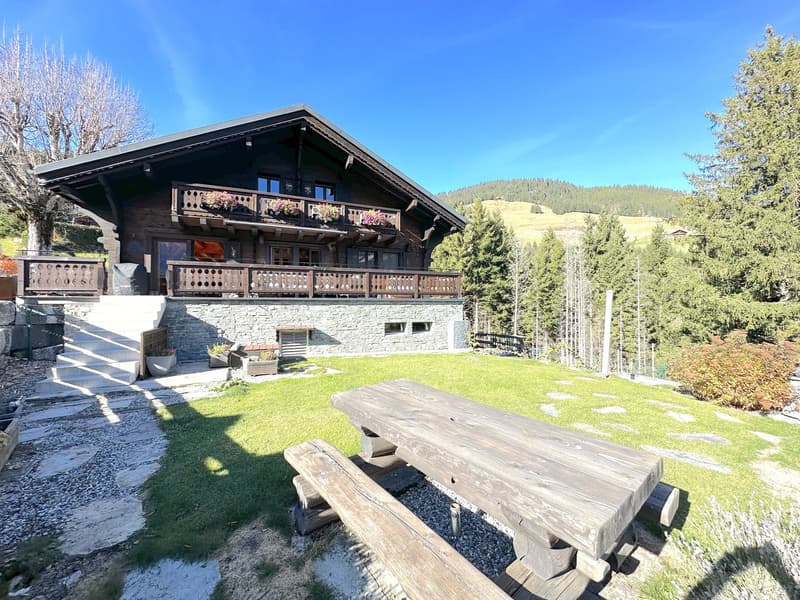 Chalet de caractère 6.5 pièces à Champéry – Vue panoramique sur les montagnes (1)