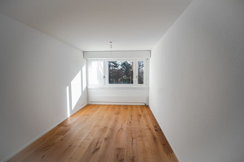 Frisch renovierte 3.5-Zi.-Gartenwohnung kaufen in Emmenbrücke (9)