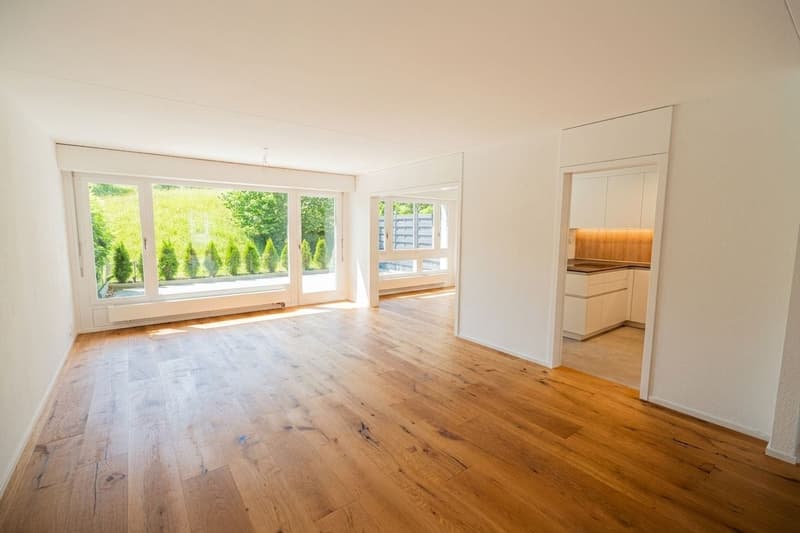 Frisch renovierte 3.5-Zi.-Gartenwohnung kaufen in Emmenbrücke (3)