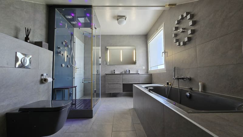 Jolie maison 6 pièces à 5 mn de la frontière Genevoise (9)