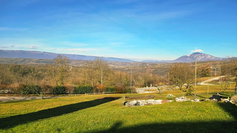 green grass, trees, bushes, mountains in the background, clear blue sky