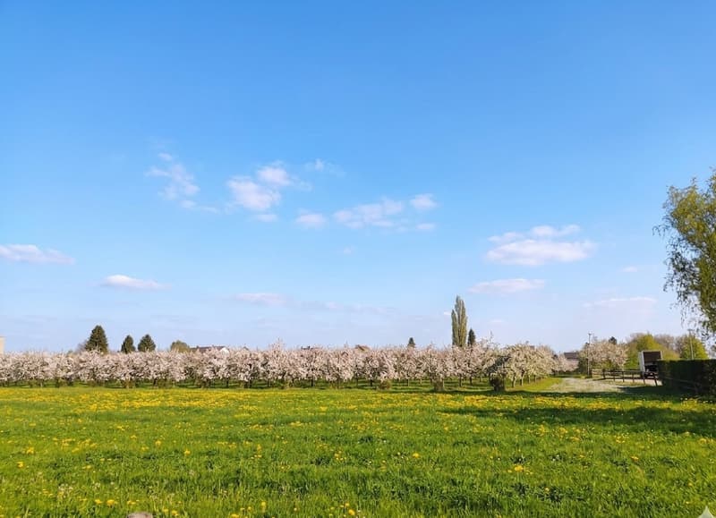 Moderne 3.5-Zimmer-Gartenwohnung mit unverbaubarem Blick ins Grüne (6)