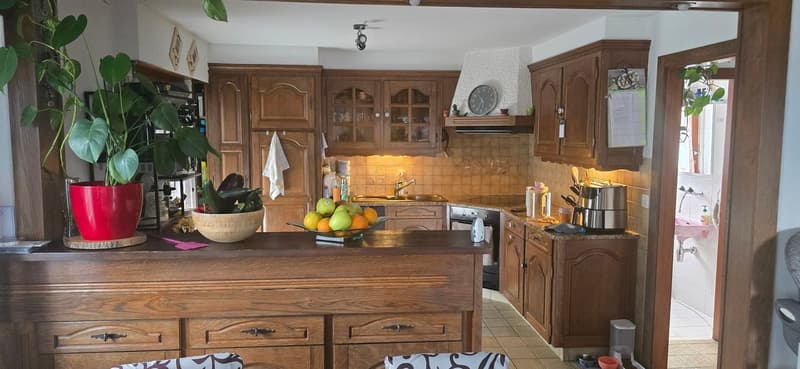 Villa de 2 appartements à Nendaz (2)