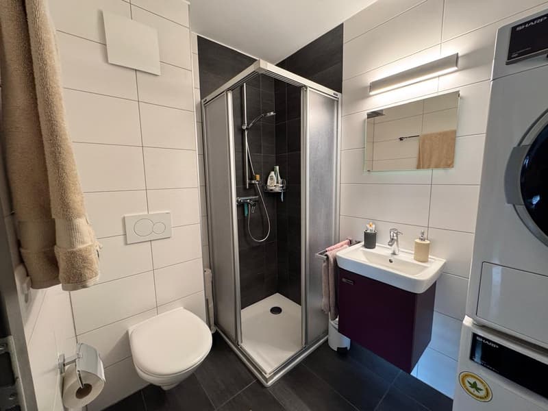Appartement 3,5 pces à Vétroz (7)