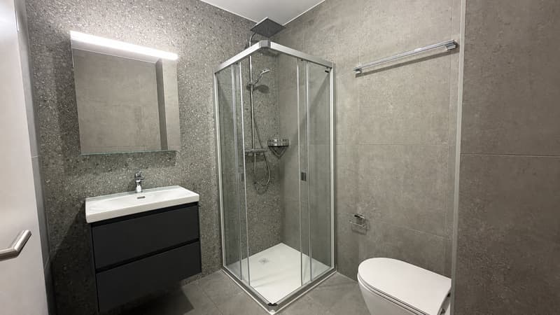 Appartement neuf de 2.5 pièces à Ardon (4)
