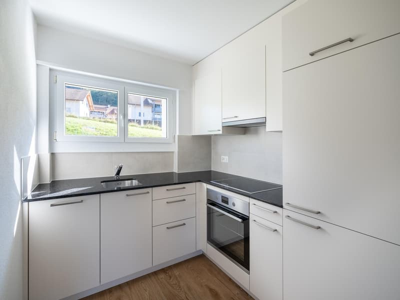 Erstbezug nach Sanierung – moderne 3-Zimmer-Wohnung mit Bergsicht (3)