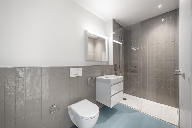 Neubauwohnung mit Aussicht in Uster (8)