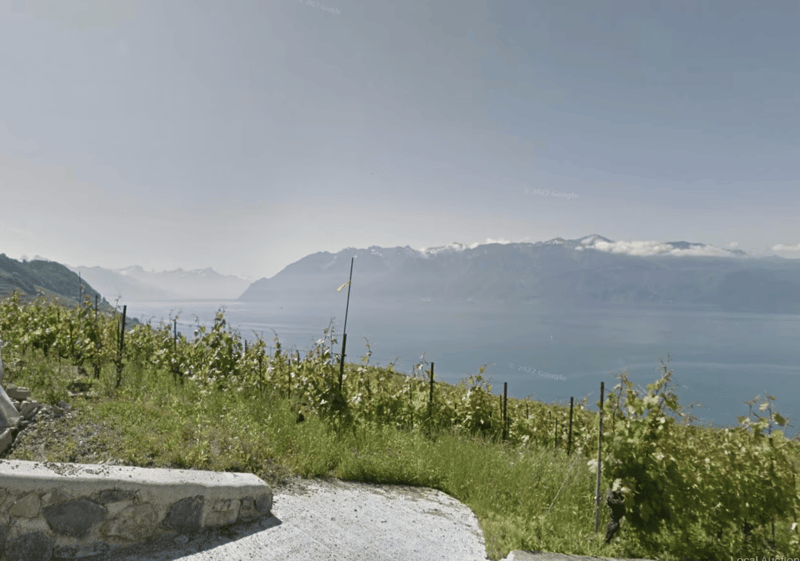 Vineyard in Bourg-en-Lavaux with Stunning Lake Views (2)