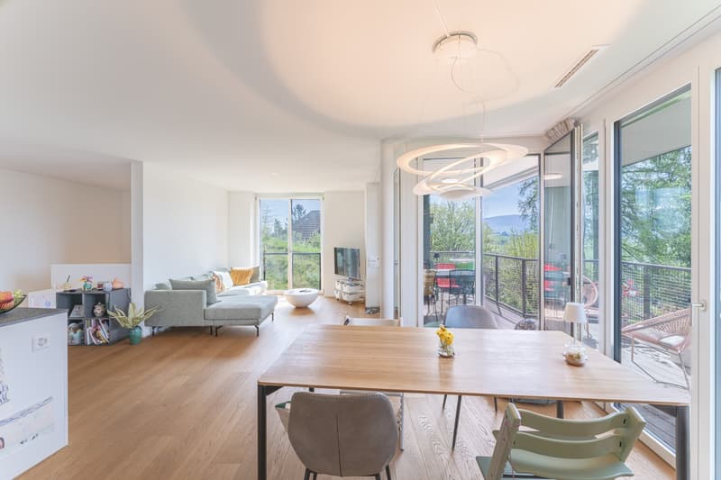 modern living room, wooden floor, large windows, balcony, dining table, couch, TV, plants