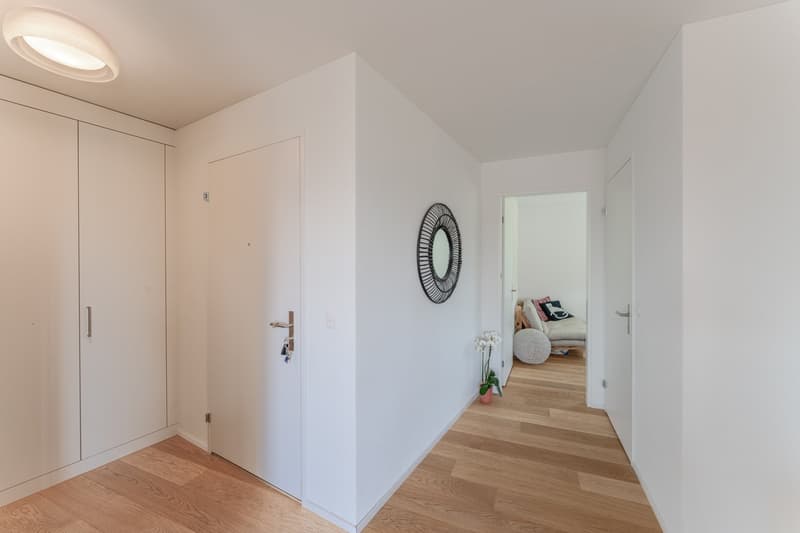 modern hallway with white walls, wooden floor, white doors, round mirror, ceiling light, potted plant