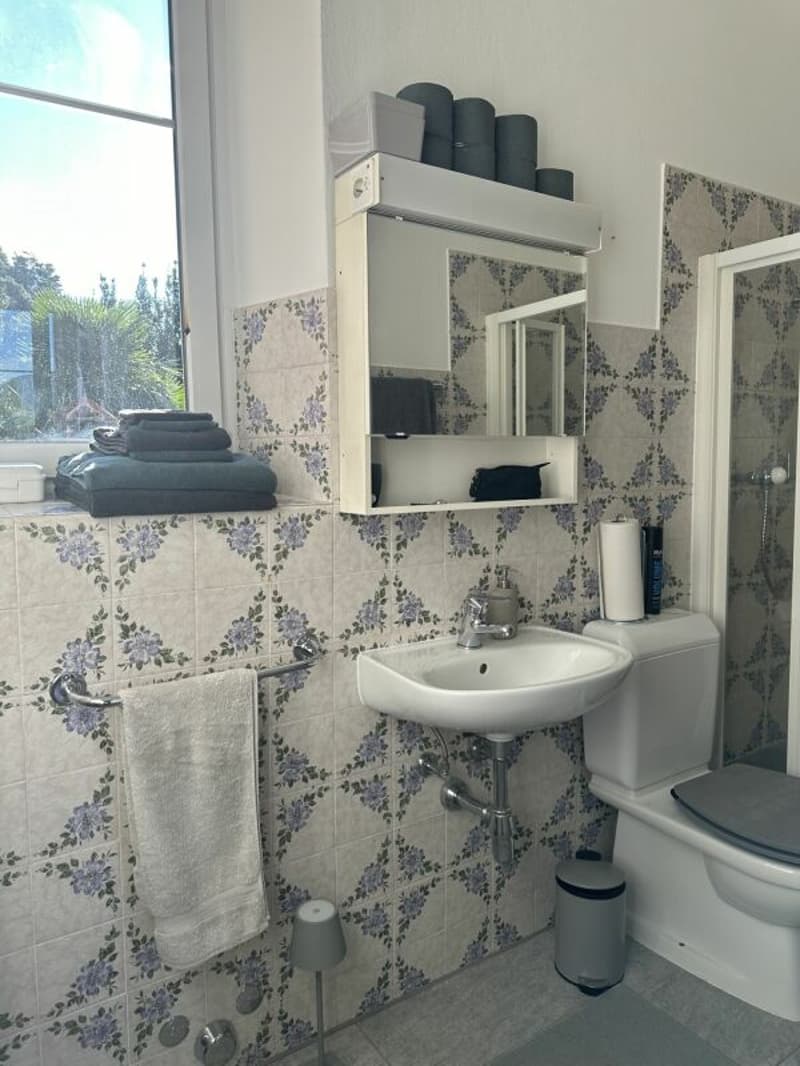 2½ Zi. Turmwohnung am Lago Maggiore (9)